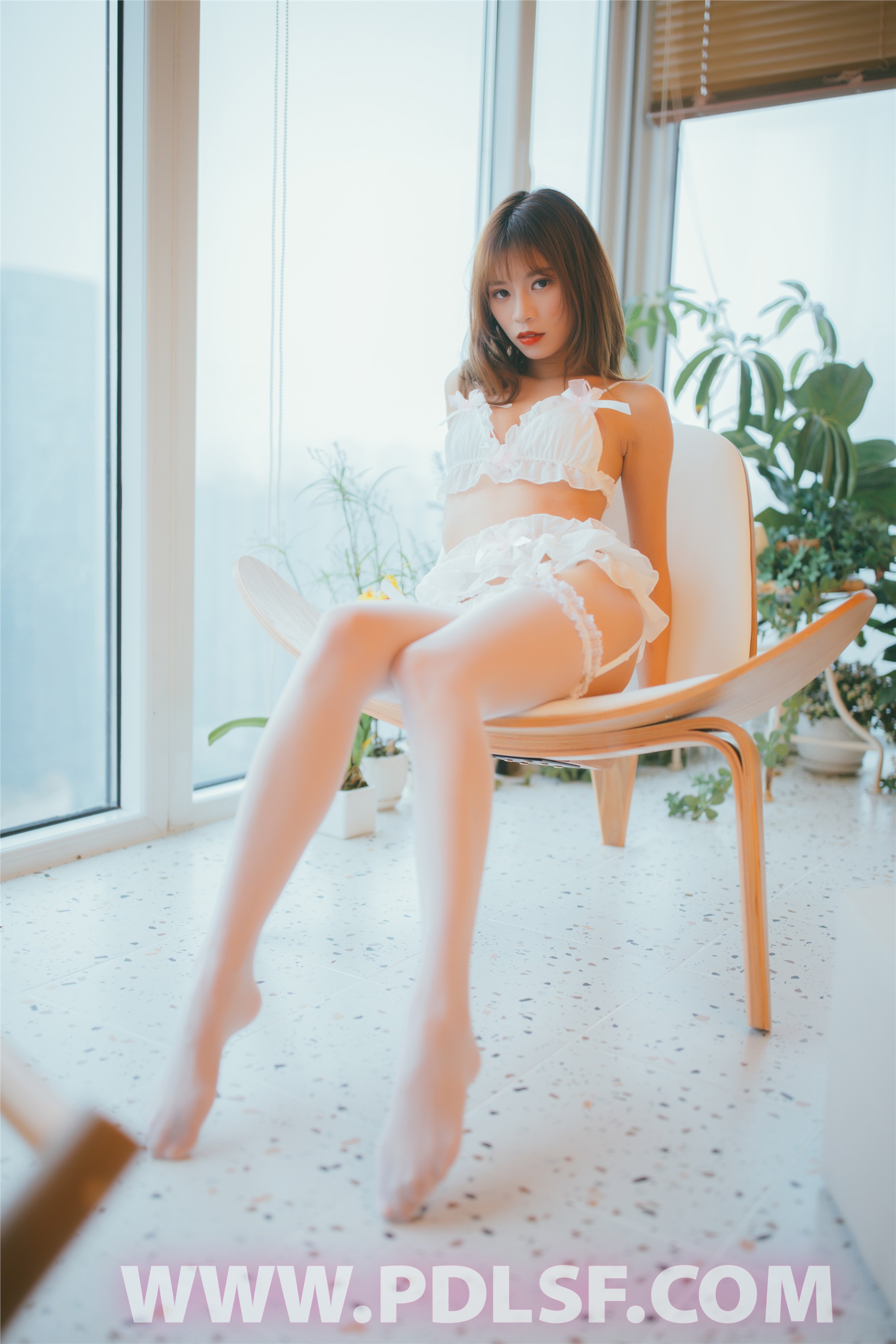 PDL潘多拉 2020.02.09 专辑No.279